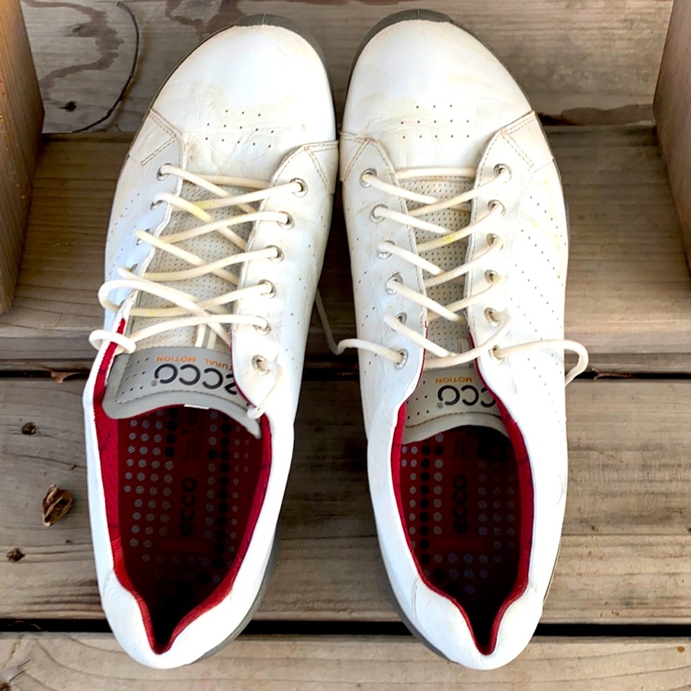 Men’s ECCO Size 47